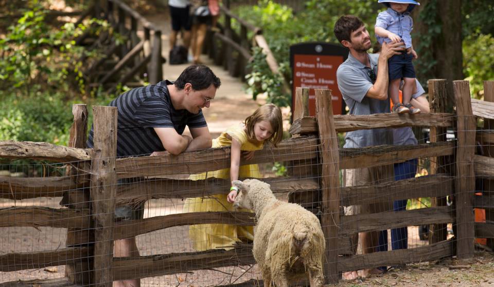The Atlanta History Center is hosting a massive fall festival this September — historic demonstrations, fall gardening activities, autumnal treats &amp; more