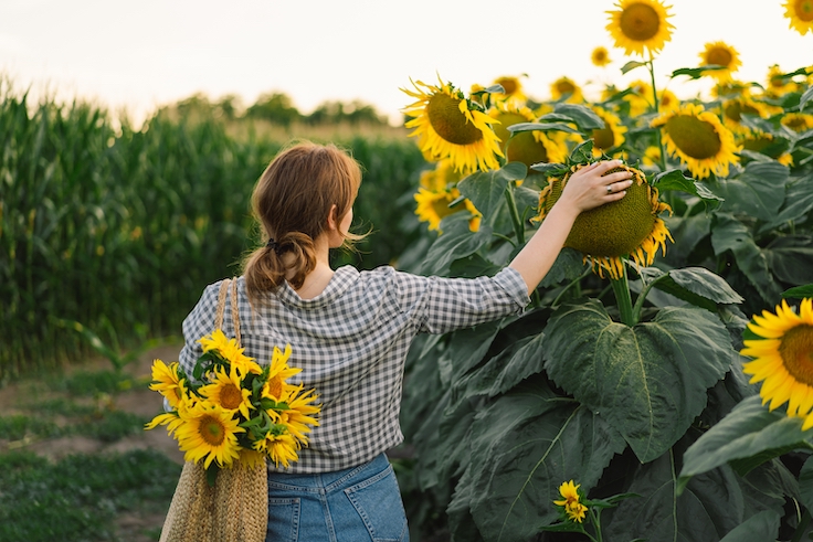 Joven guapa con girasoles disfrutando de la naturaleza y riendo en un campo de girasoles en verano. Mujer sosteniendo girasoles. Reflejos del sol, rayos de sol, resplandor solar, concepto de libertad y felicidad.
