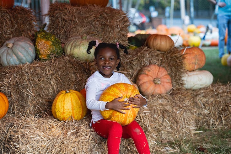 Huerto de calabazas en Atlanta, Georgia