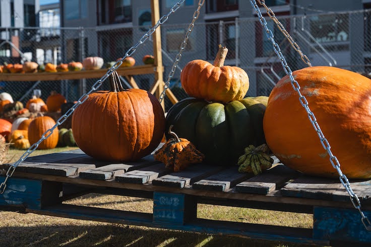 Calabazas a la venta en Atlanta