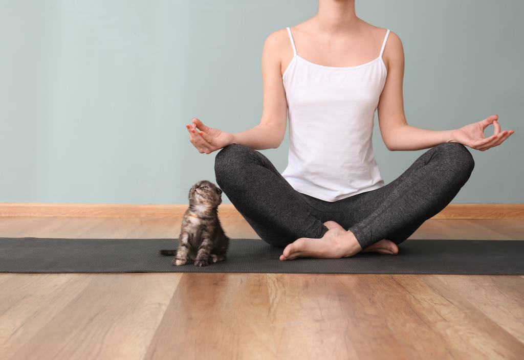 Joven con un gatito monísimo practicando yoga en casa