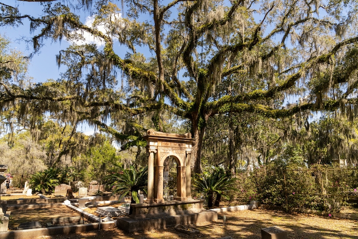 Savannah, EE. UU. - 11 de marzo de 2026: vista detallada de las lápidas y de los típicos robles siempreverdes y musgo español en el histórico Cementerio de Bonaventure