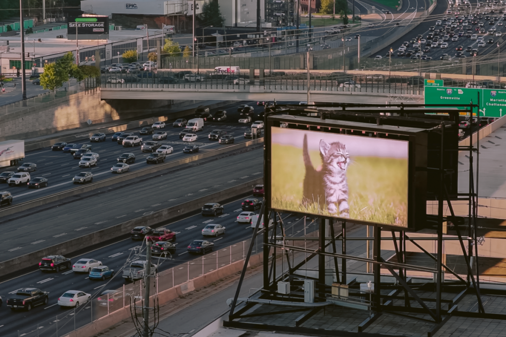Valla publicitaria de los gatitos