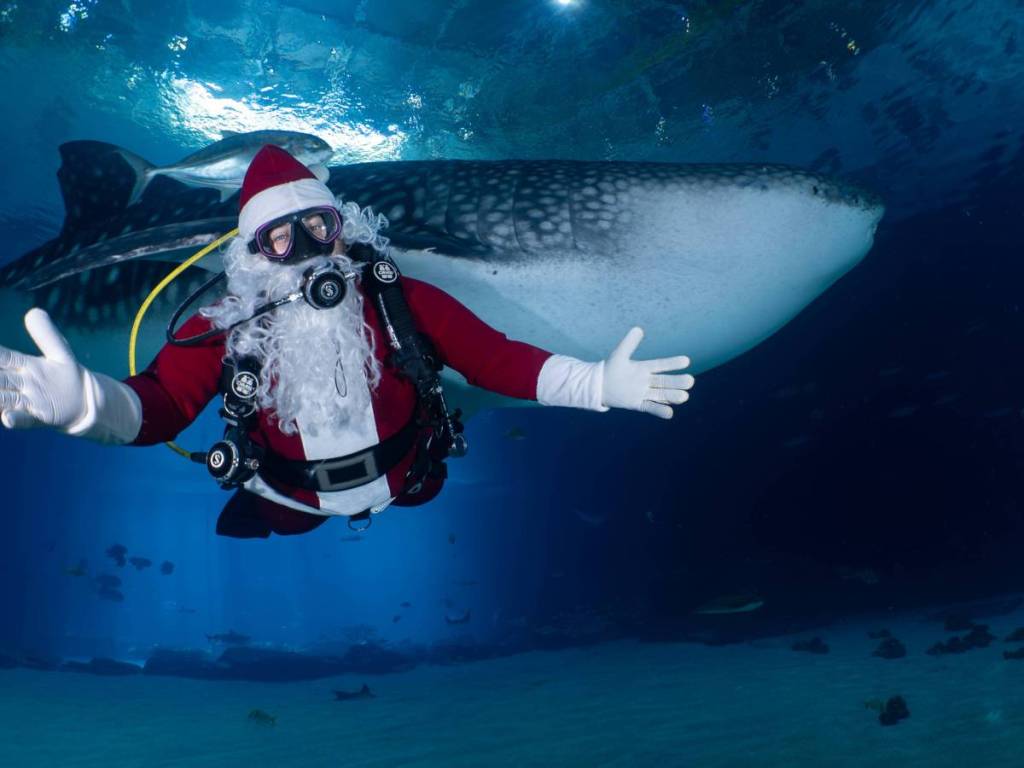 Papá Noel buceando