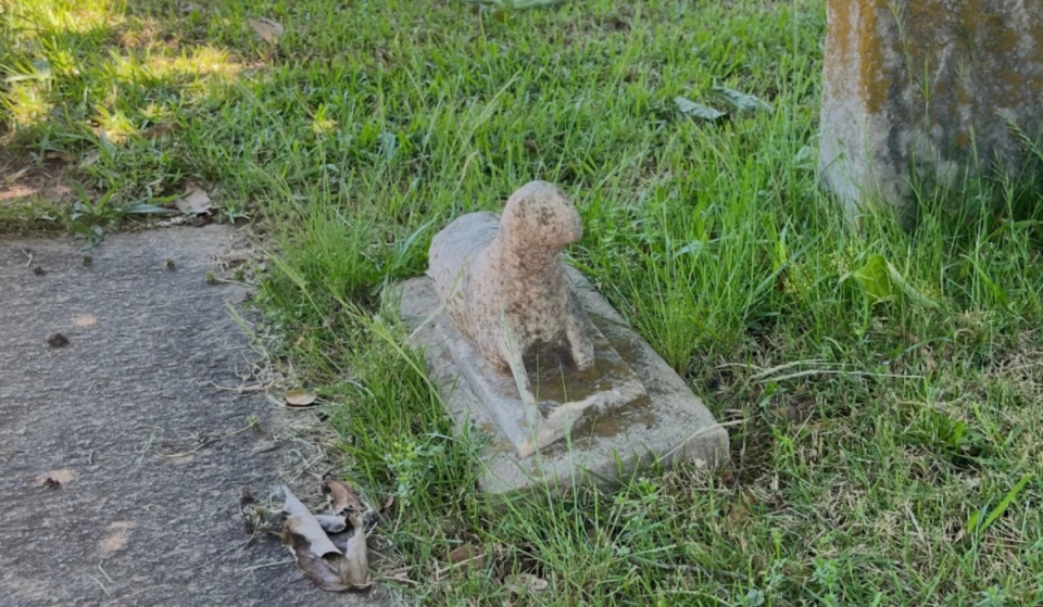 Meet Tweet: the beloved pet mockingbird buried at Oakland Cemetery in the late 1800s