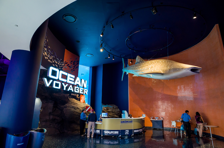 ATLANTA, GEORGIA - August 2:Interior of Georgia Aquarium with the people, the world's largest aquarium holding more than 8 million gallons of water in Atlanta, Georgia on August 2, 2014