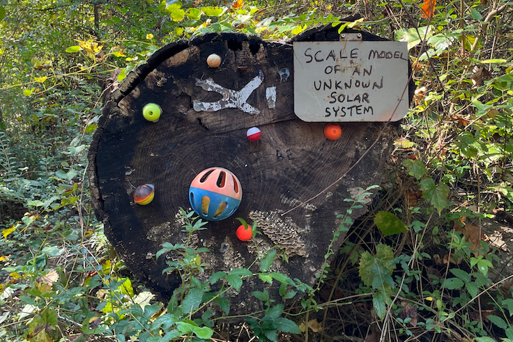 doll's head trail