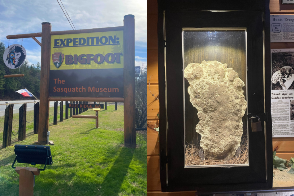 Bigfoot expedition