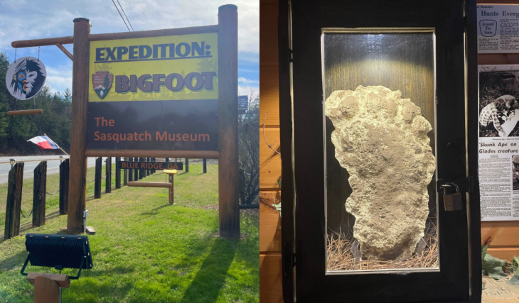 There’s a massive, uncanny Bigfoot museum hidden in the North Georgia mountains just 1.5 hours from Atlanta—Is Bigfoot real?
