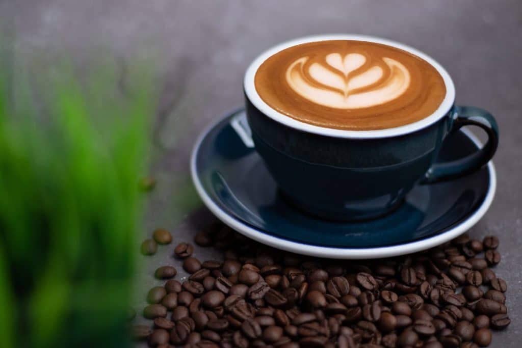 Best Coffee Auckland
