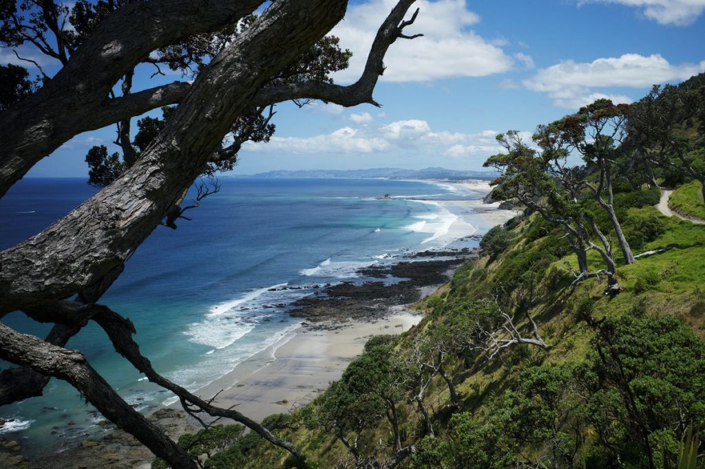 Auckland Spring Day Trips