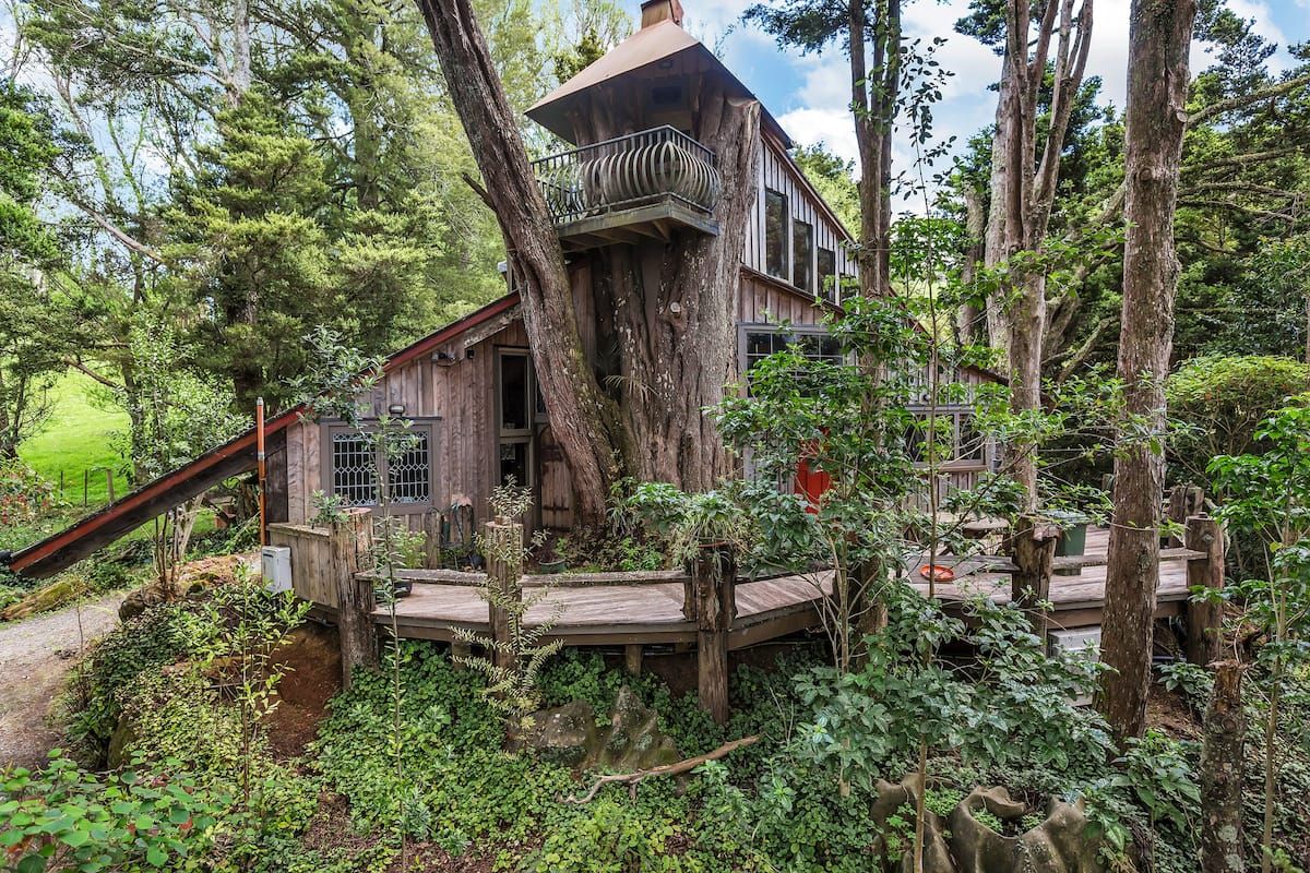 New Zealand Fairytale Treehouse Secret Place