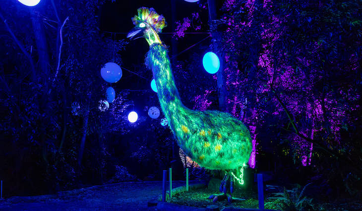 Check Out LUMA Enchanted, A Mystical Night Walk Through Nature, Before It Closes