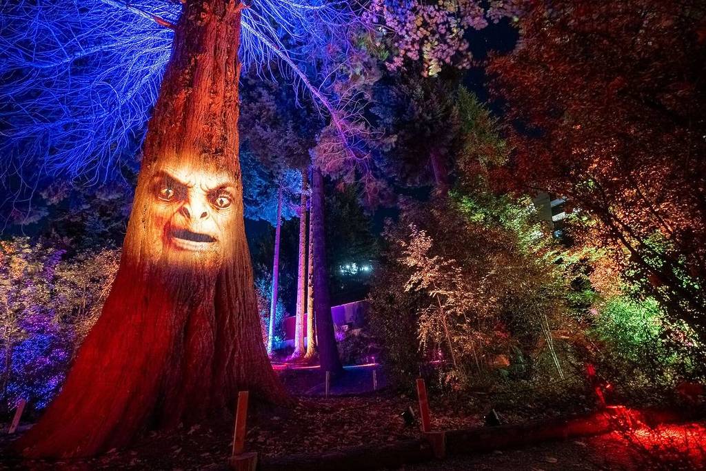 A projection of a face is seen on a tree in a glowing forest at LUMA Enchanted.