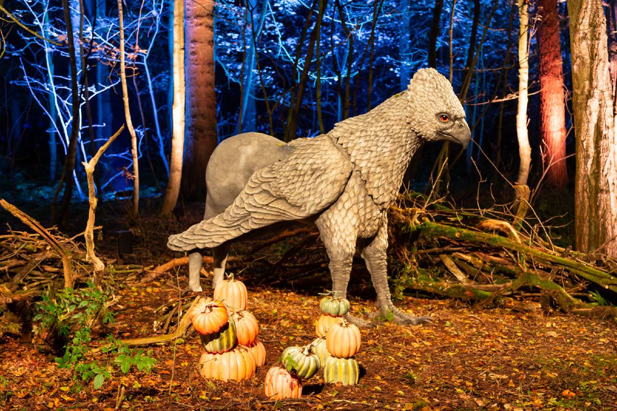 Austin's Magical Harry Potter Experience Is Closing Soon