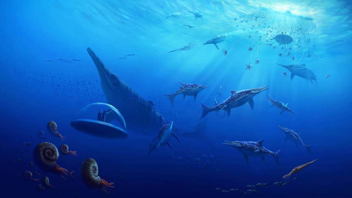 The thrilling Life Chronicles VR expedition is one of Austin’s coolest experiences this summer