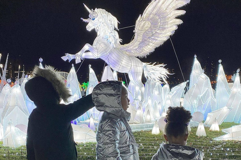 This Stunning Winter Light Festival Is Leaving The DMV Area