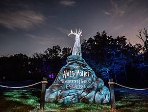 5 Things To Know Before Visiting The DMV Area’s Epic Harry Potter Adventure