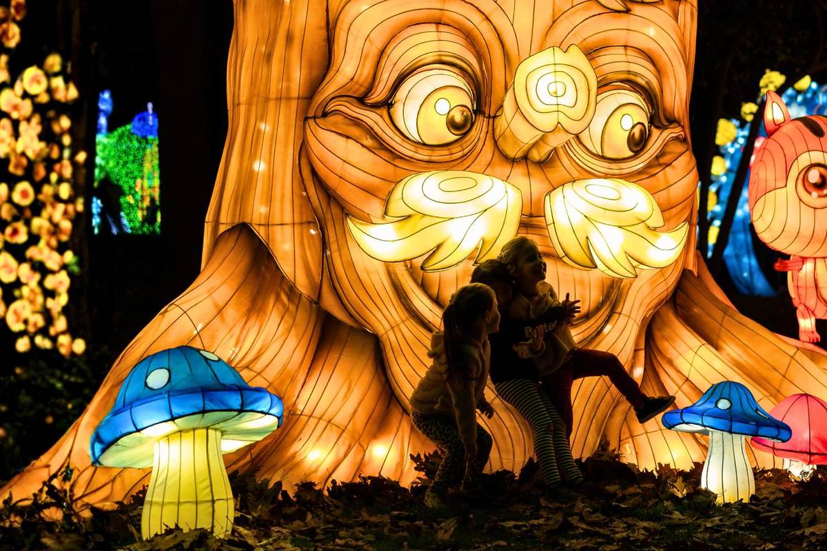 Winter Lantern Festival
