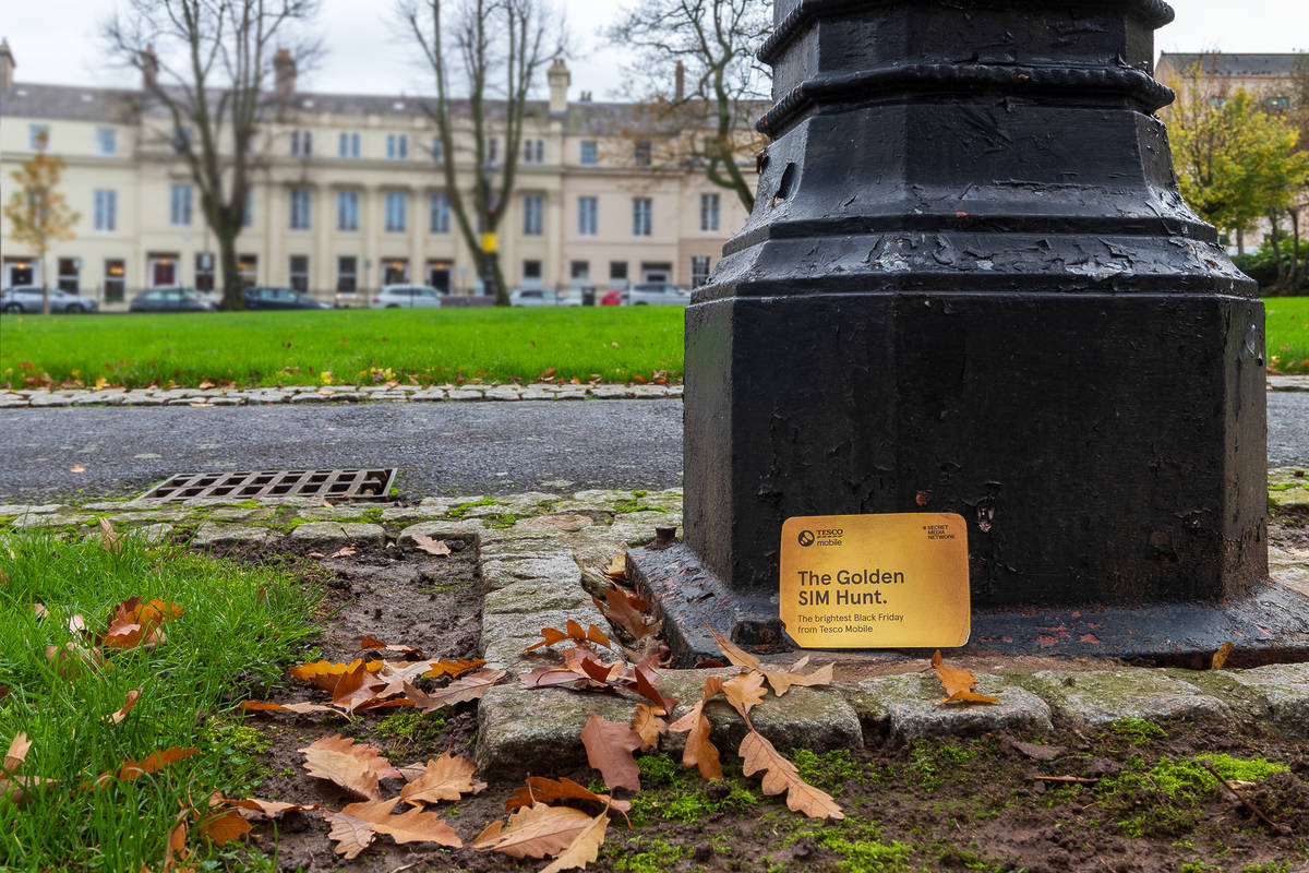 a tesco mobile golden sim card hidden by a belfast garden