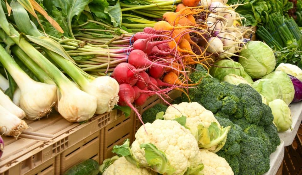 Deutschland hat die meisten Vegetarier in ganz Europa
