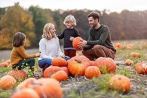 5 granjas y fiestas de la calabaza en Berlín y alrededores que te harán sentir el espíritu del otoño