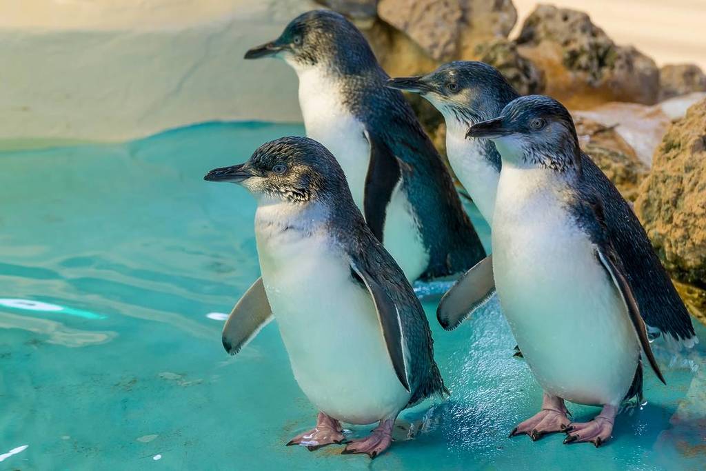 Parchi acquatici