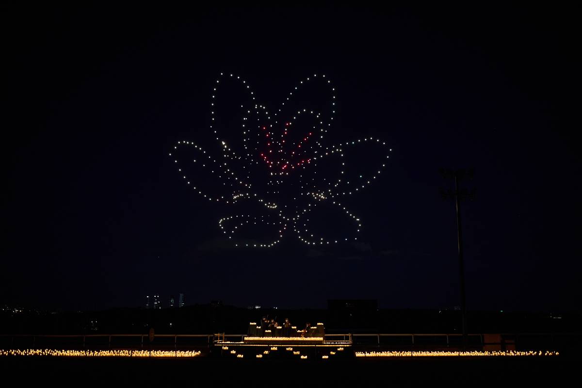 Drone Art Berlin Blume