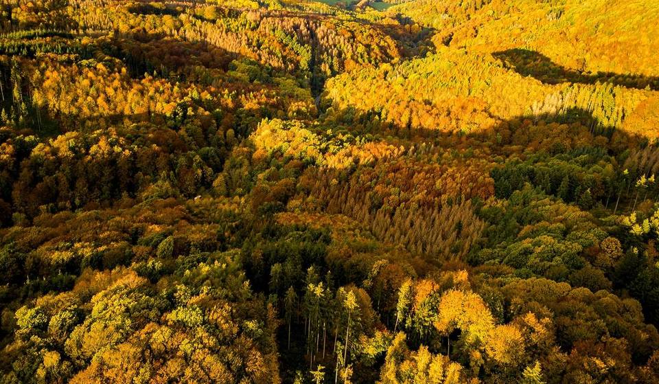 5 vacation tips to enjoy autumn in Germany to the fullest
