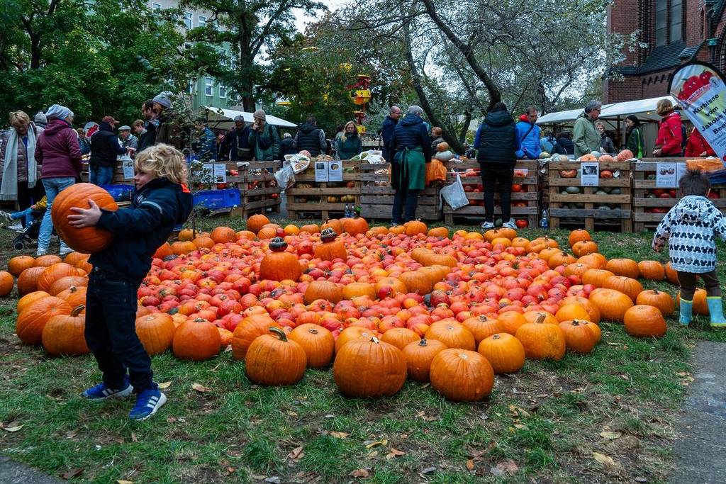 Schöneberg Pumpkin Festival