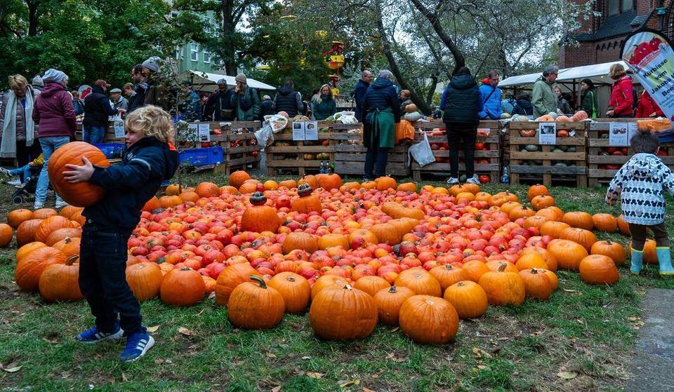 Les 4 et 5 octobre, la 26e fête de la citrouille de Schöneberg sera célébrée : plus de 10.000 citrouilles de 20 sortes différentes et 140 exposants vous attendent.