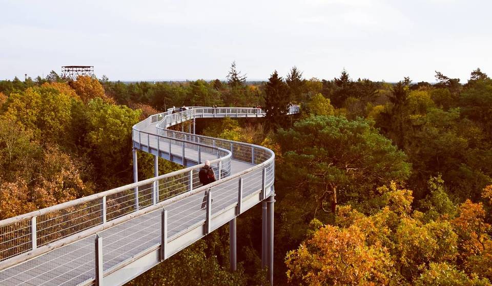 The perfect autumn excursion: 43 km from Berlin is a 700-metre-long treetop trail that offers breathtaking views from a height of 36 meters