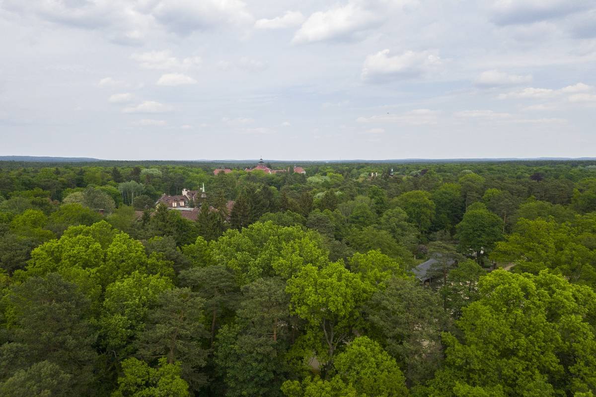 Baumkronenpfad Beelitz