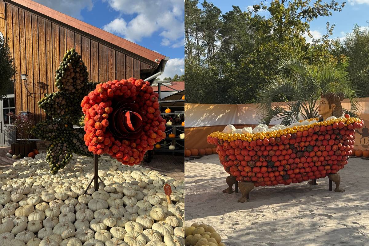 Größte Kürbisausstellung