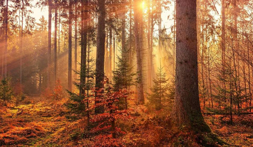 Zwischen Kürbisduft und Kuscheldecke: 5 Ideen für euer perfektes Herbstwochenende
