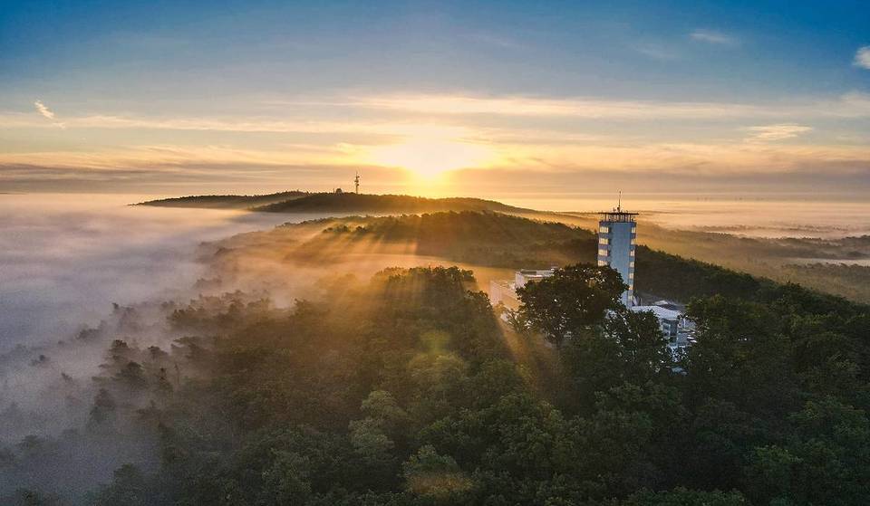 Herbstwanderung zwischen Bäumepracht: 20 km vom Stadtzentrum liegt der größte See mit versteckten Waldrefugien und der höchsten Erhebung Berlins (114,7 m)