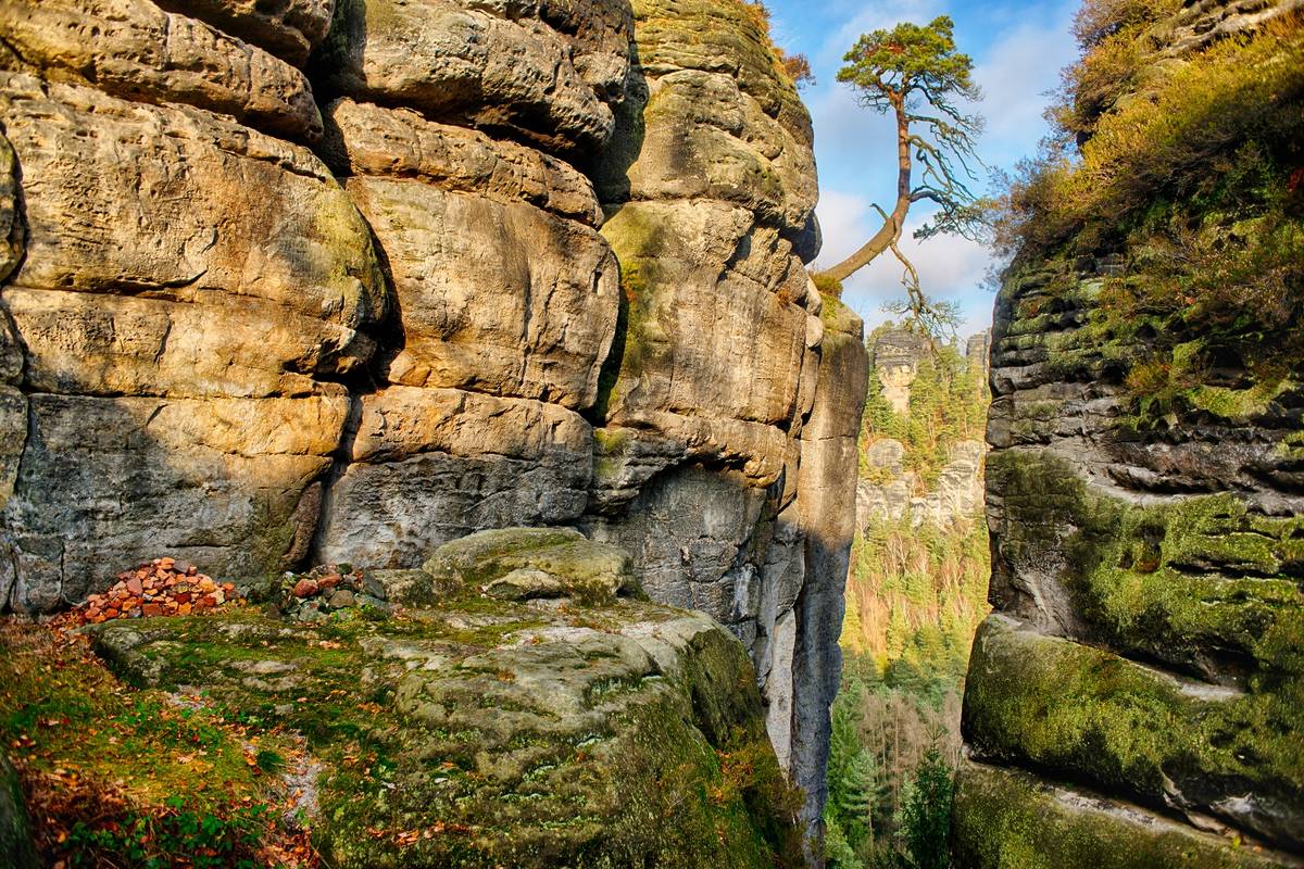 Nationalpark Sächsische Schweiz