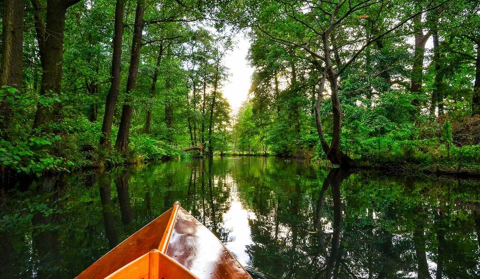 À seulement 1 heure de train de Berlin : votre prochaine excursion automnale vous mènera dans la « Venise allemande » avec 1 300 km de voies navigables pour des balades pittoresques.