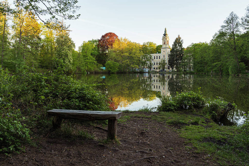 Pond with a view of Dammsmühle Castle