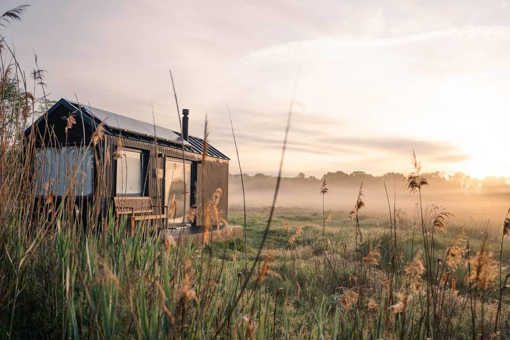 Détoxication numérique