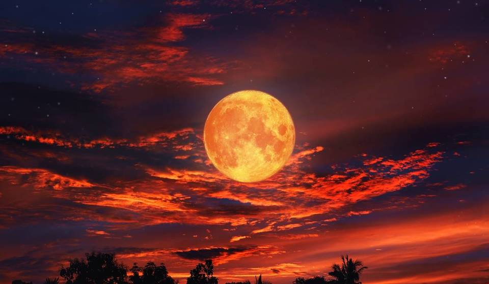 The last supermoon in 2025 is more than just an astronomical phenomenon: it will be the highest full moonrise of the decade – and we won’t see it again until 2042!