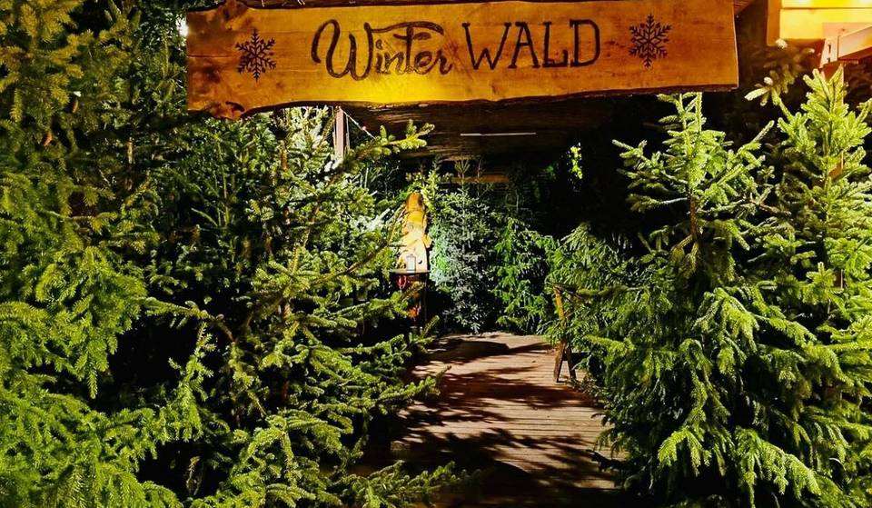Einmalig in ganz Deutschland und nur 1,5 Stunden von Berlin: Ein authentischer Winterwald auf einer Dach-Skihütte mit über 400 echten Nadelbäumen!