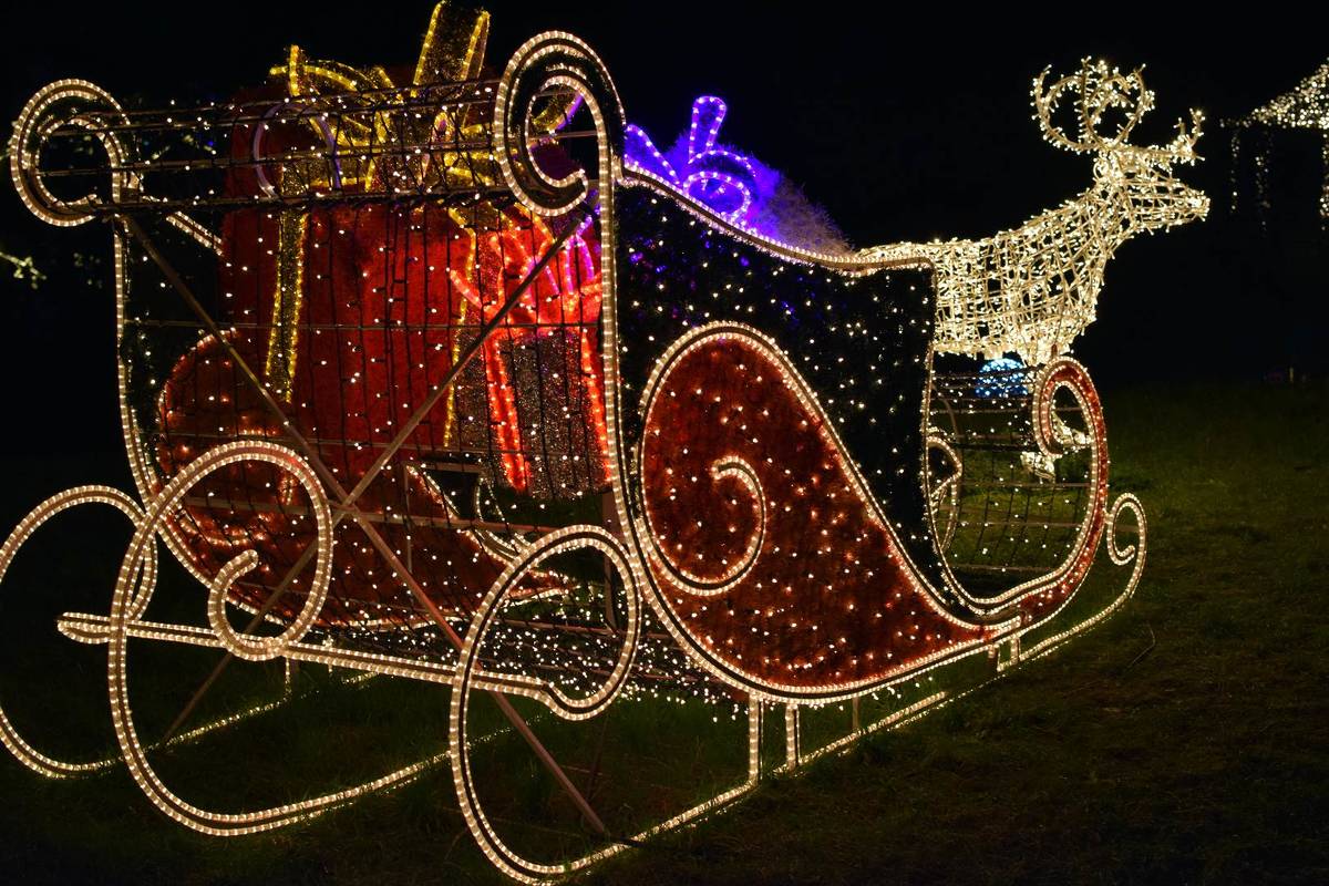 Botanischer Garten Berlin