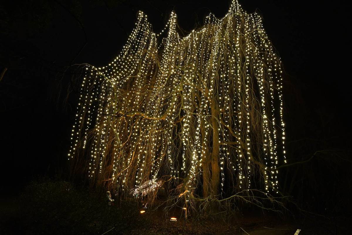 Botanischer Garten Berlin