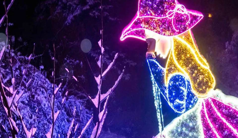 Only 45 minutes from Berlin to “Alice in Wonderland”: over 1 million lights on the 1.3 km long circular trail – with fairytale landscapes, colorful figures &amp; illuminations like in the Disney realm