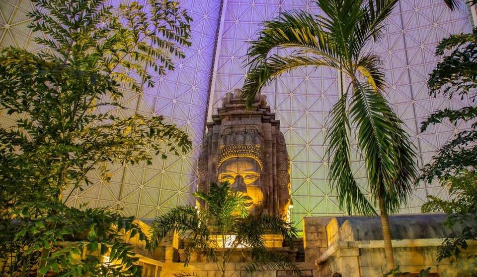 Nur 45 Minuten von Berlin liegt der größte Indoor-Regenwald der Welt: Der Kälte entfliehen und im 28 Grad warmen Wasser baden – mit funkelnder Sambashow, Glow Bar, Wasserfällen & Lagunen!