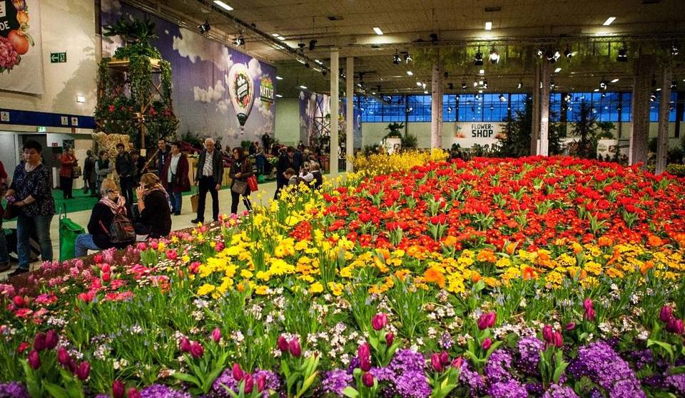 Nur noch 5 Tage in Berlin zu erleben: Die größte Messe rund um Ernährung, Landwirtschaft und Gartenbau Deutschlands feiert ihr 100-jähriges Jubiläum mit über 1.500 Ausstellern!
