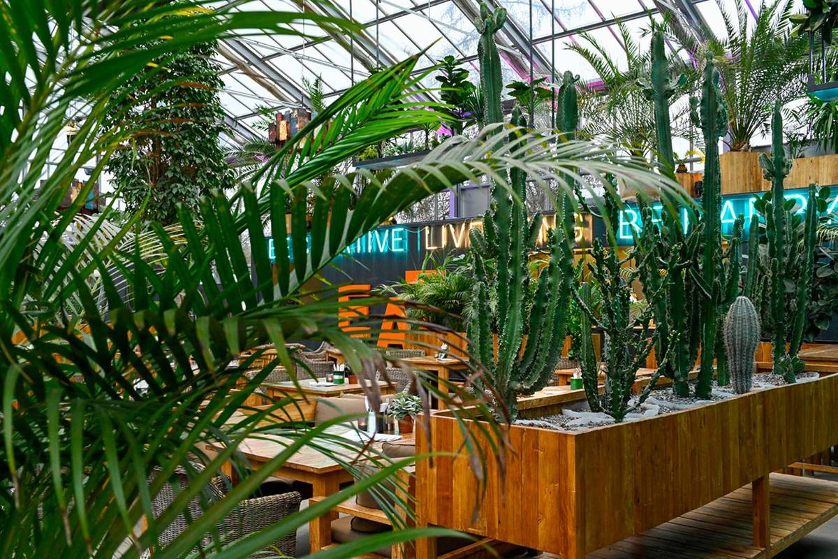 Greenhouse California