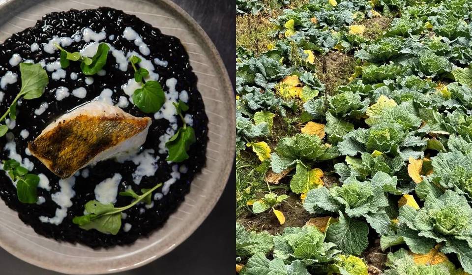 Eine private Farm mitten in der Stadt mit einem versteckten 1.000-m²-Permakulturgarten: In diesem Restaurant & Café in Berlin gibt es italienisch inspirierte Küche aus eigener Ernte