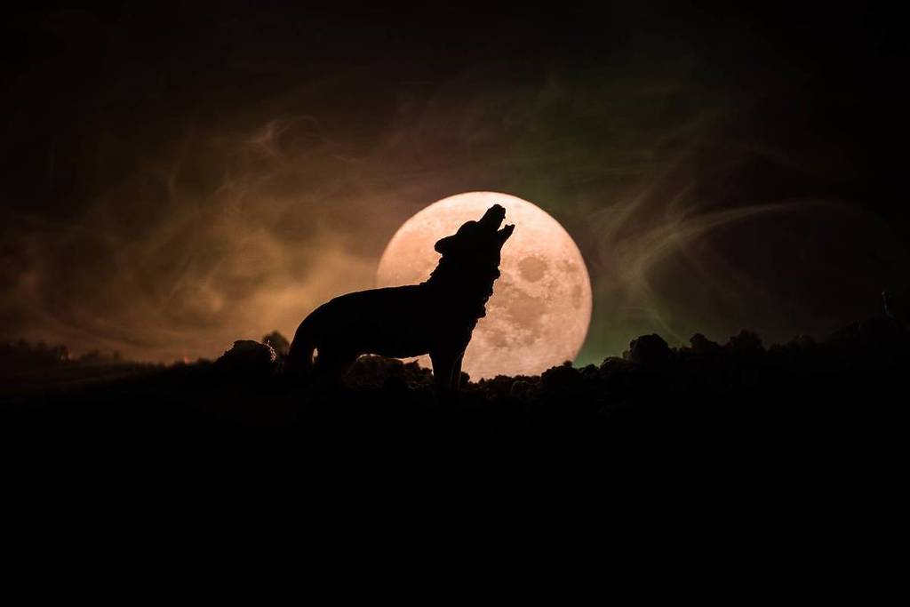 Luna de Lobo
